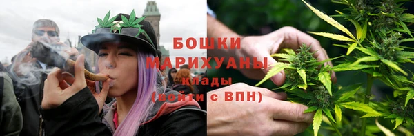 сатива Дмитриев