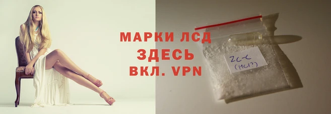 сатива Дмитриев