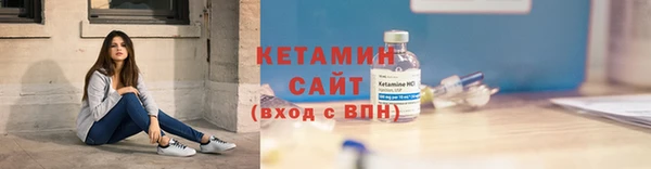 сатива Дмитриев