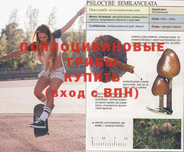 кокаин VHQ Дмитровск
