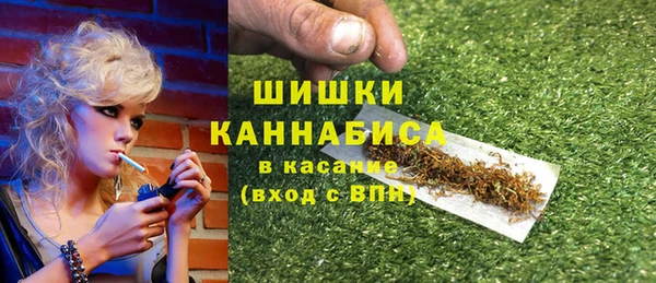 сатива Дмитриев